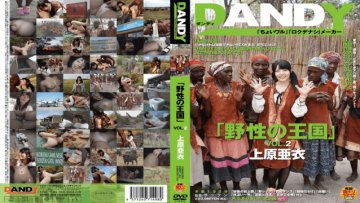 dandy-368-kingdom-of-wild-vol-2-ai-uehara_1491564926